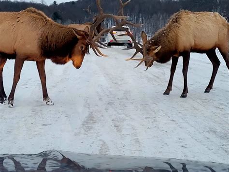 parc omega opening hours